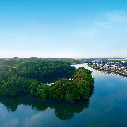 Waterfront homes on the rivers of Senibong Cove