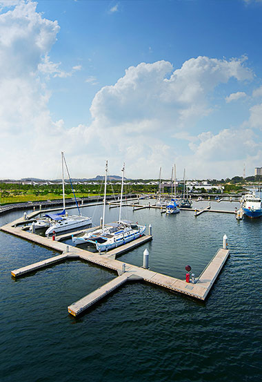 The marina at Senibong Cove