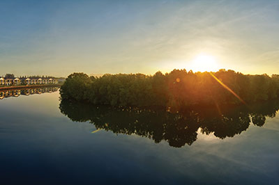 Mangroves Park